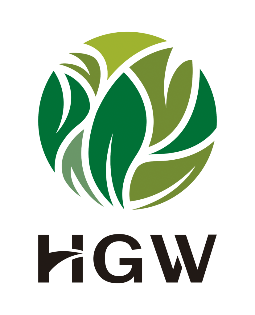 HGW MEXICO LIMITED CORPORATION